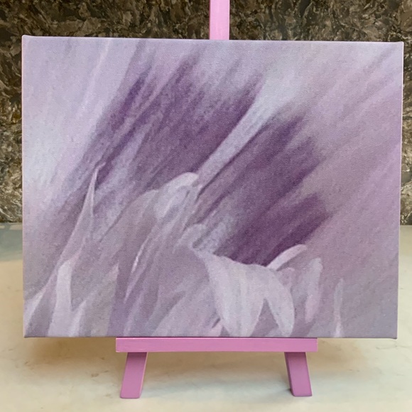 ARTISAN Photography of Ornamental Breadseed Poppy on Canvas Picture Taken by me - Picture 2 of 8